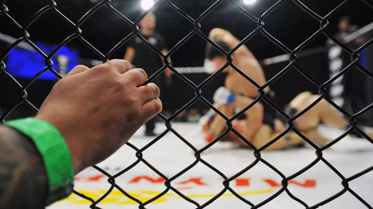 MMA chce na olympiádu. Šéfové přesvědčují MOV