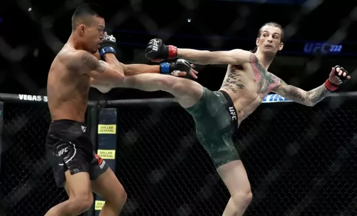 UFC 276 analýza: Sean O’Malley vs. Pedro Munhoz