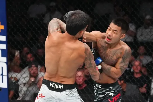 Divočina. V zápase UFC padl během 15 minut historický počet úderů
