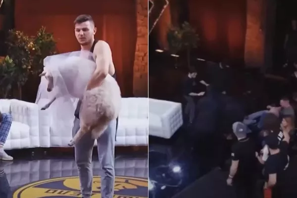 VIDEO: Ovce jako dar?! Dagestánský zápasník pěkně zuřil!